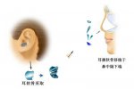 详解自体软骨隆鼻